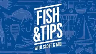 Fish & Tips with Scott & Mig: Boat Ramp Etiquette