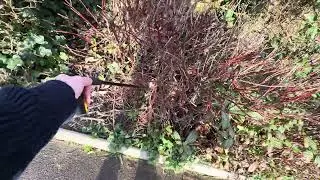 4K POV | Stanley Park Blackpool | Relaxing Litter Picking Walk | ASMR | Part Two