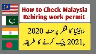 How to check rehiring, finger permit status?