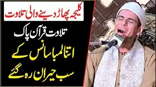 misri qari tilawat in pakistan || Aal Tv