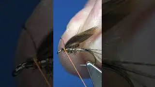 Woodcock & Hare's Wet Nymph SHORT #fishing #flyfishing #fishingfly #insects #fishinglure