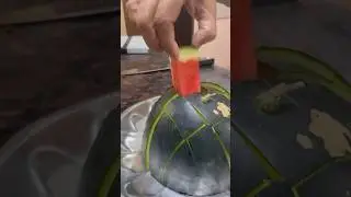 How to Cut Watermelon FAST!? #watermeloncutting #cuttinghacks