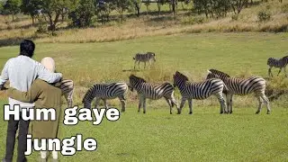 Humne ki jungle ki sair - Pakistani in Africa 