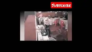 2 idiot thieves caught on camera #shorts
