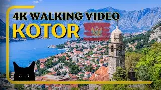 Kotor, Montenegro 🇲🇪 - 4K Virtual Walking Tour