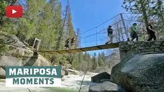 A Day in Wawona (Mariposa Moments)