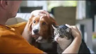 New Trends  Pet Industry