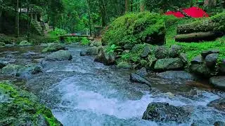 Soothing Piano Mix Near River Sounds to Sleep Instantly, Boost Productivity, and Calm the Mind