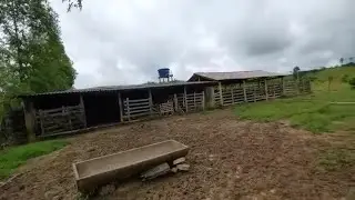 FAZENDA DE 10 HECTARES À VENDA PERTO DE BELO HORIZONTE 