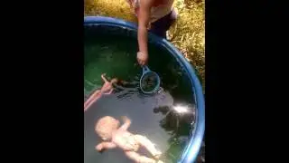 Tadpole rescue.