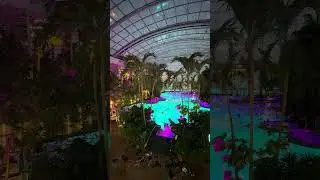 A Water Park, Spa & Jungle&hellip; Indoors 😮🌴 | Therme Bucharest