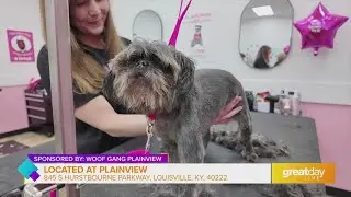 GDL: Take Your Dog to Woof Gang Bakery and Grooming