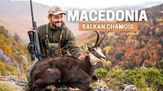 Одна из самых знаковых горных охот Европы: балканская серна.