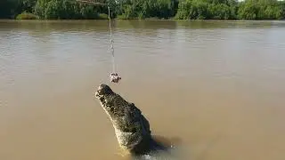 Jumping Crocodile in Adelaide river - Darwin