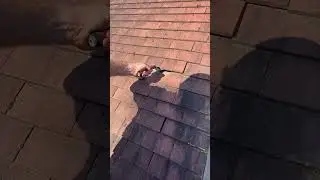 roof tile repair DIY #diy #roofing #roofrepair #howto #rooftiles #carpenter #roofingcontractor
