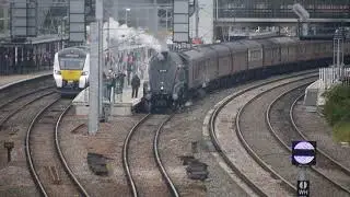P1100183