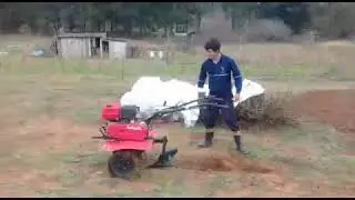 Tratorito  branco com arado
