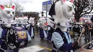 Guuggenmusig Chatzemusig Lozärn @ Lozärner Fasnacht (04.03.2019)
