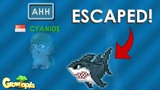 MY SHARK ESCAPED!! | Growtopia