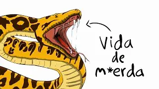 Nacer como una ANACONDA apesta...
