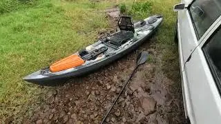 brincando com os douradinhos a baixo de chuva.