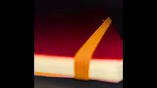 VLZ - Ann&eacute;e remplie