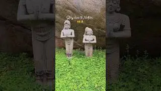 Lessons From Nature#trending #viral #shorts #nature #naturephotography #learning #waterfall #lesson