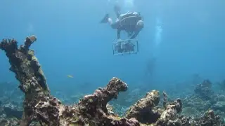 A Guide to Large-Area Imaging for Coral Reef Monitoring, Research and Restoration