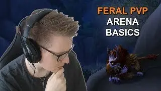 Feral Druid PvP Arena Guide Legion 7.3.5