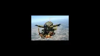 A Tribute for You - America's Brave Military Working Dogs