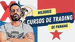 Mejores Cursos de Trading en Panam&aacute; 2025 | Capex Academy y Tradea explicados paso a paso