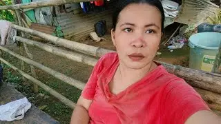 LAVA FOUNTANING MOUNT MAYON/JANINE PINAY MOM IS LIVE