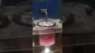 Disintegration test of tablets.