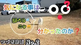前回の続き📹️🎞️　気になる事が・・・なんだったのか❓🤔分かったのかな❓💦