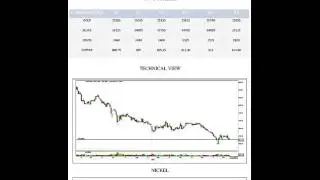 Trading In Gold Market With MCX Tips