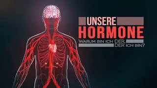 Das Hormonsystem / endokrine System des Menschen (Animation)
