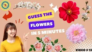 Floral Trivia Challenge: Test Your Flower Knowledge on our Quiz Channel!