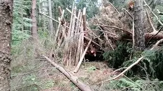 Bushcraft Camp was destroyed by the Space Force. Gravity crushed. No talking