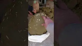 Tez naswar jehangira special