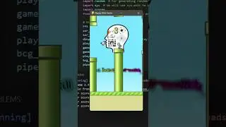 How to create flappy Bird game using python