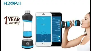 7 Best New Smart Water Bottles 2018 You Should Have  smart bottle water bottle smart water bottle ev