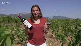 Vi&ntilde;a Zaco en un minuto  | Por Mayte Calvo de la Banda