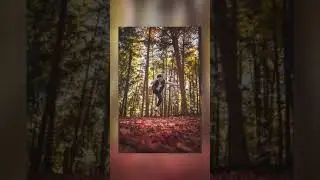 How to edit FALL PHOTOS: Lightroom Tutorial #Shorts