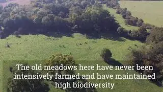 Fulbourn Fen Nature Reserve Drone Aerial Tour