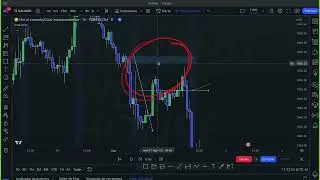 curso de nery leon de trading web house (Trading avanzado #8)