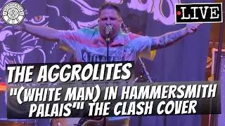 The Aggrolites 