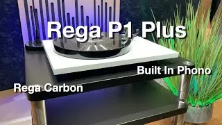 Rega P1 Plus | Rega Carbon | Built In phono