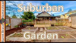 Suburban Vegetable Garden