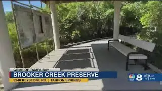 This gem is considered the largest natural area in Pinellas County