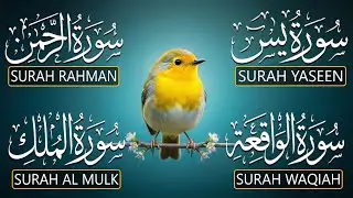 Most Beautiful Recitation | Surah Yaseen | Surah Rahman | Surah Waqiah | Surah Mulk | Ashraf Hussein